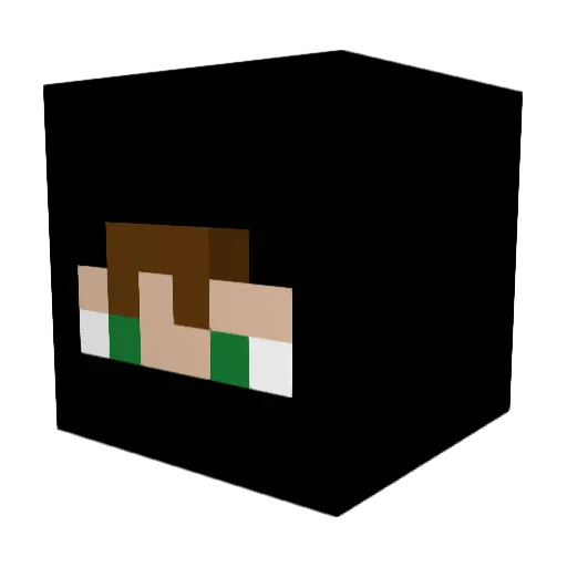 RaucousHurdle34 Minecraft avatar head, 3D render