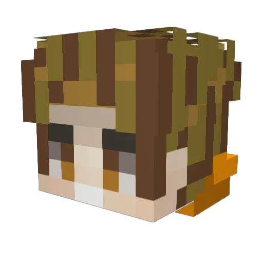 Raukodin Minecraft avatar head, 3D render
