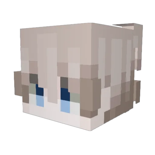 Raul8845 Minecraft avatar head, 3D render