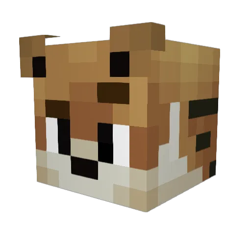 RaulProGamer Minecraft avatar head, 3D render