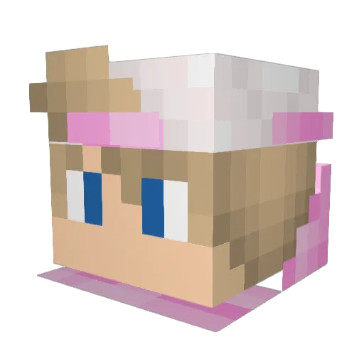 Rauldelaawes0me Minecraft avatar head, 3D render