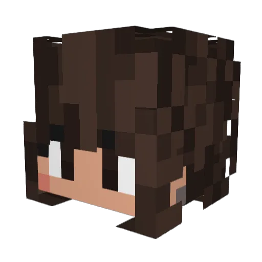 Raulotaku55 Minecraft avatar head, 3D render