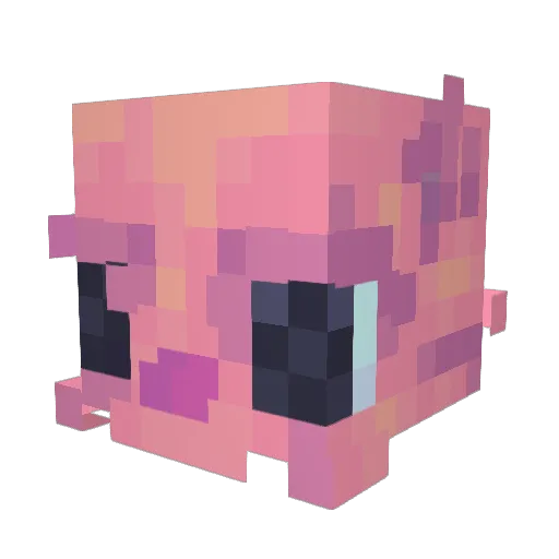 Raultier Minecraft avatar head, 3D render