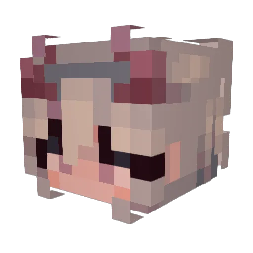 Raulwynn Minecraft avatar head, 3D render