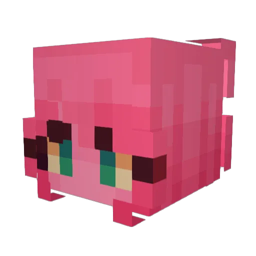 Rauroka Minecraft avatar head, 3D render
