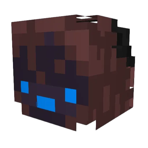 Raus3s Minecraft avatar head, 3D render