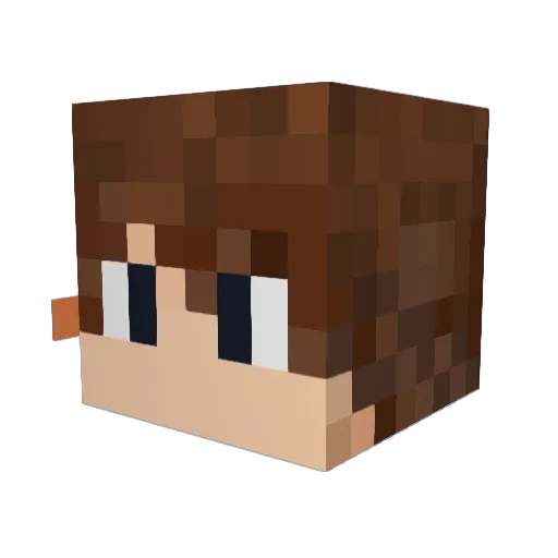 Rauume Minecraft avatar head, 3D render