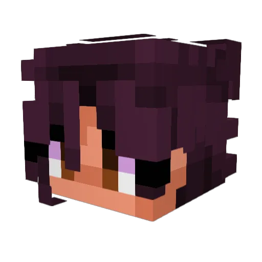 Rauzer_ Minecraft avatar head, 3D render
