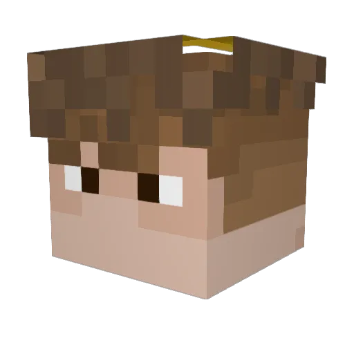 Rav8 Minecraft avatar head, 3D render