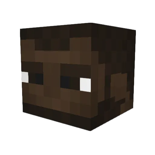 Rav8n Minecraft avatar head, 3D render