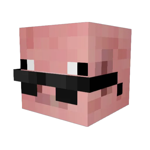 Ravager117 Minecraft avatar head, 3D render