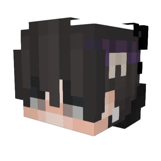 Ravager595 Minecraft avatar head, 3D render