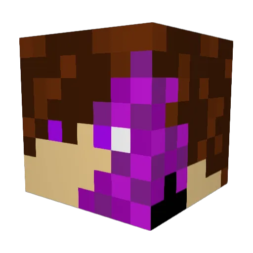 Ravant1118 Minecraft avatar head, 3D render