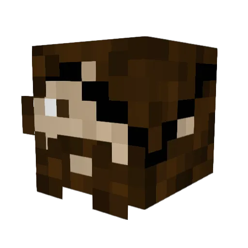 Ravaschia Minecraft avatar head, 3D render