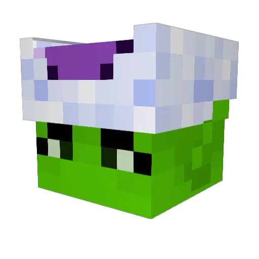 Ravator Minecraft avatar head, 3D render