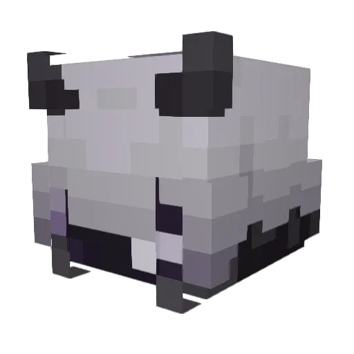 Rave____ Minecraft avatar head, 3D render