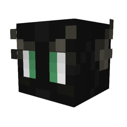 Ravemonkey Minecraft avatar head, 3D render