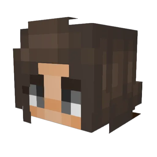 Raven003 Minecraft avatar head, 3D render