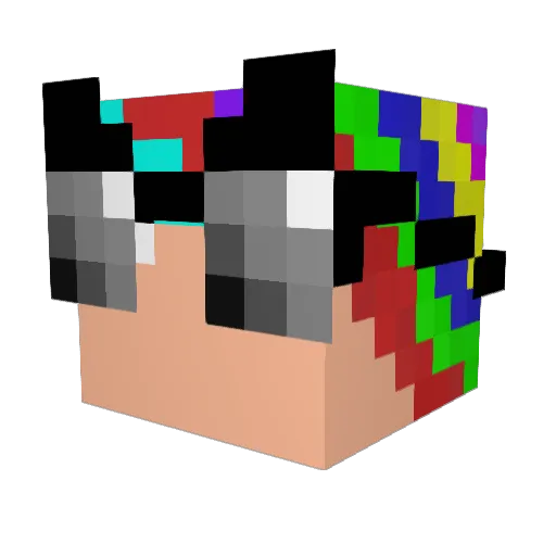 Raven2014 Minecraft avatar head, 3D render