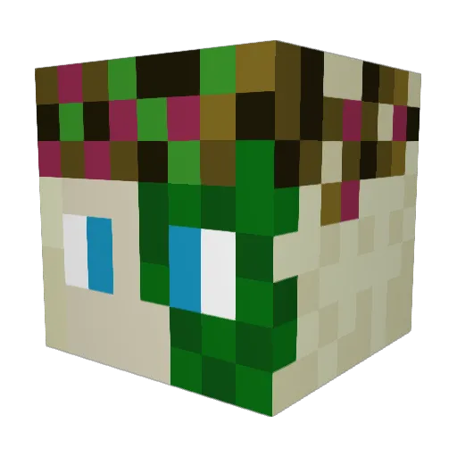 Raven329379 Minecraft avatar head, 3D render