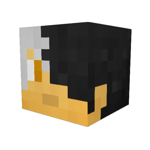 Raven3319 Minecraft avatar head, 3D render