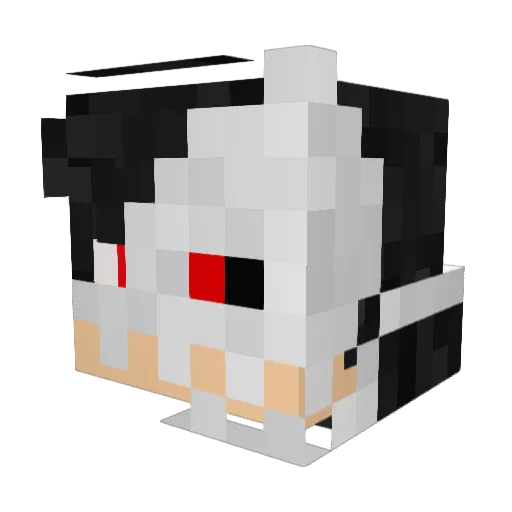 Raven47612 Minecraft avatar head, 3D render