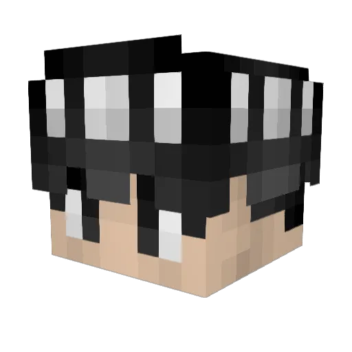 RavenBJ Minecraft avatar head, 3D render