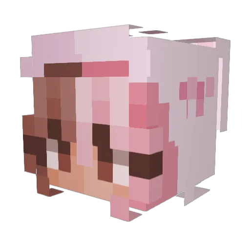 RavenColton Minecraft avatar head, 3D render