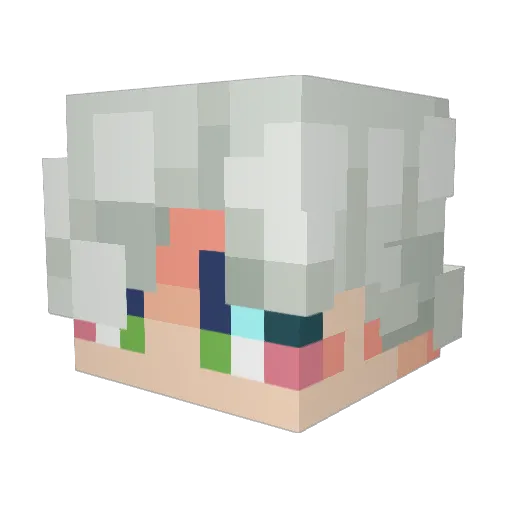 RavenFox4 Minecraft avatar head, 3D render