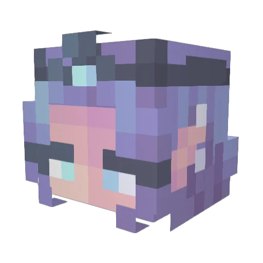 RavenHealer Minecraft avatar head, 3D render