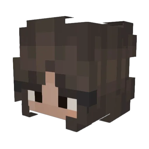 RavenHogan Minecraft avatar head, 3D render