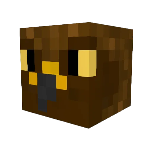 RavenIsHeelCool Minecraft avatar head, 3D render