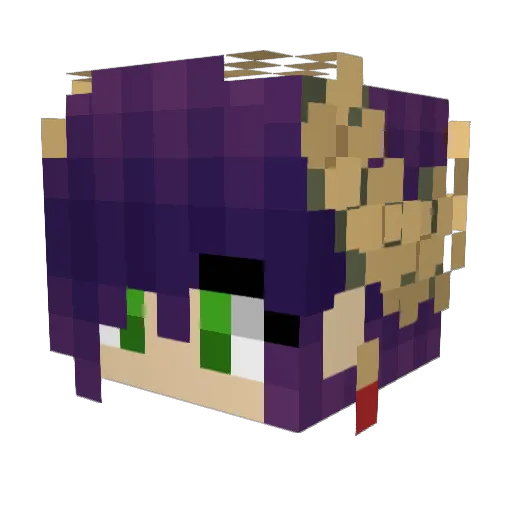 RavenIsHere Minecraft avatar head, 3D render