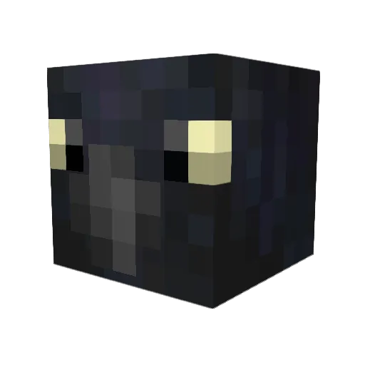 RavenKingdom9 Minecraft avatar head, 3D render