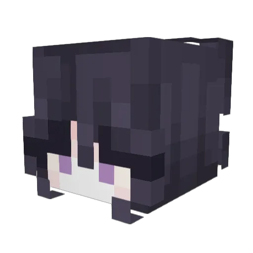 RavenLikesDads Minecraft avatar head, 3D render