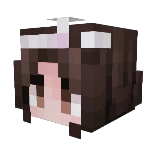 RavenLyY Minecraft avatar head, 3D render