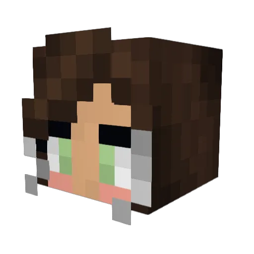 RavenMN Minecraft avatar head, 3D render