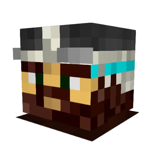 RavenMaster136 Minecraft avatar head, 3D render