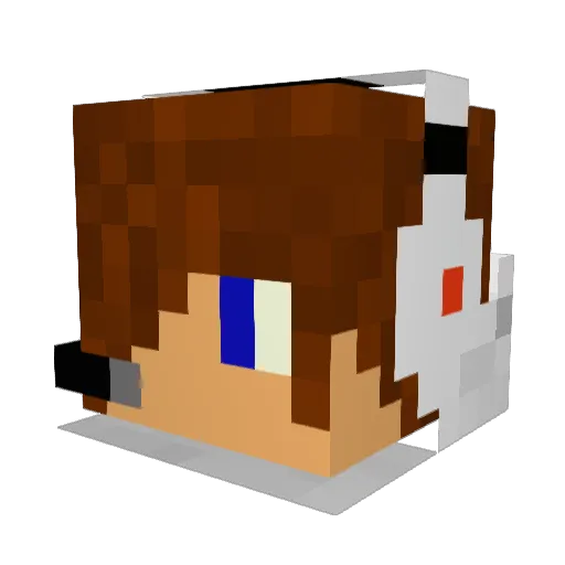 RavenMax Minecraft avatar head, 3D render