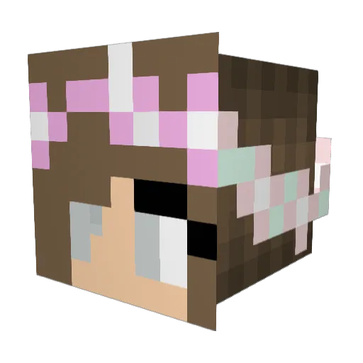RavenMonkey14 Minecraft avatar head, 3D render