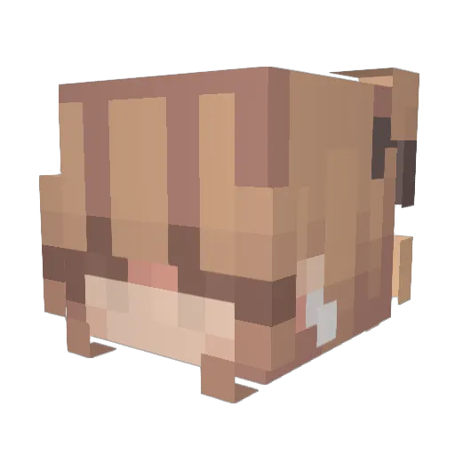 RavenP58 Minecraft avatar head, 3D render