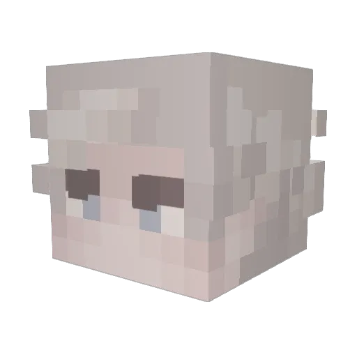 RavenRay Minecraft avatar head, 3D render