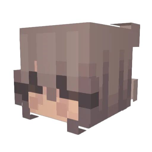 RavenSJC Minecraft avatar head, 3D render