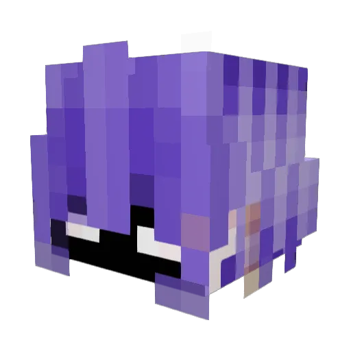 RavenSensei7 Minecraft avatar head, 3D render