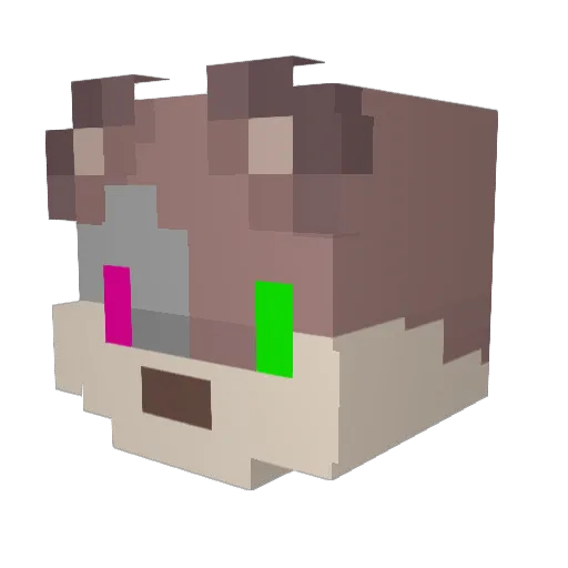 RavenTacos Minecraft avatar head, 3D render