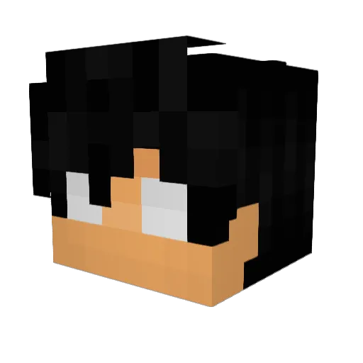 RavenWing02PM Minecraft avatar head, 3D render