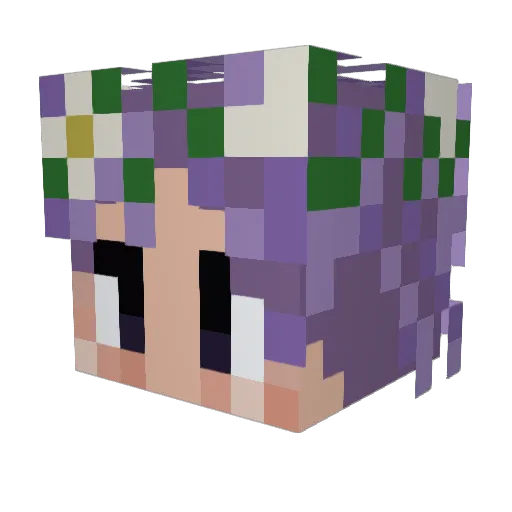 Raven_0211 Minecraft avatar head, 3D render