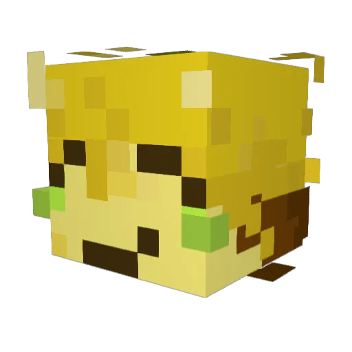 Raven_1123 Minecraft avatar head, 3D render