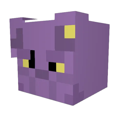 Raven_2016 Minecraft avatar head, 3D render