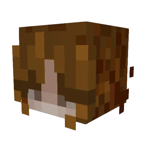 Raven_Black Minecraft avatar head, 3D render